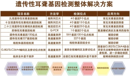 遗传性耳聋基因检测整体解决计划