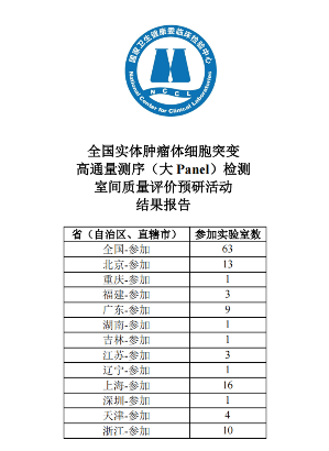 效果报告